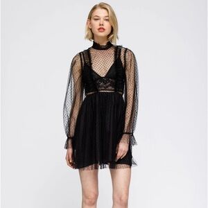 Polka dot black lace dress